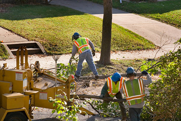 Lawn Maintenance Plans in Spring Park, MN